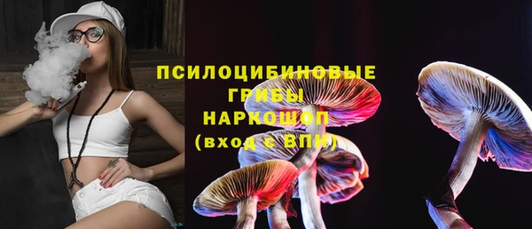 скорость Няндома