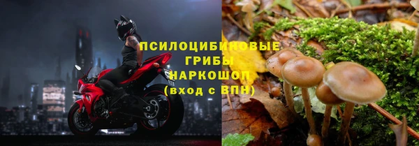 круглые Абаза