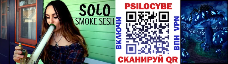 как найти наркотики  Уржум  Галлюциногенные грибы Psilocybine cubensis 